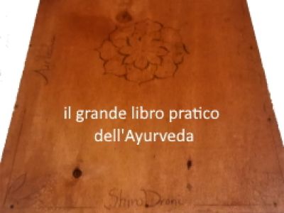 Il Libro Pratico Dell'Ayurveda